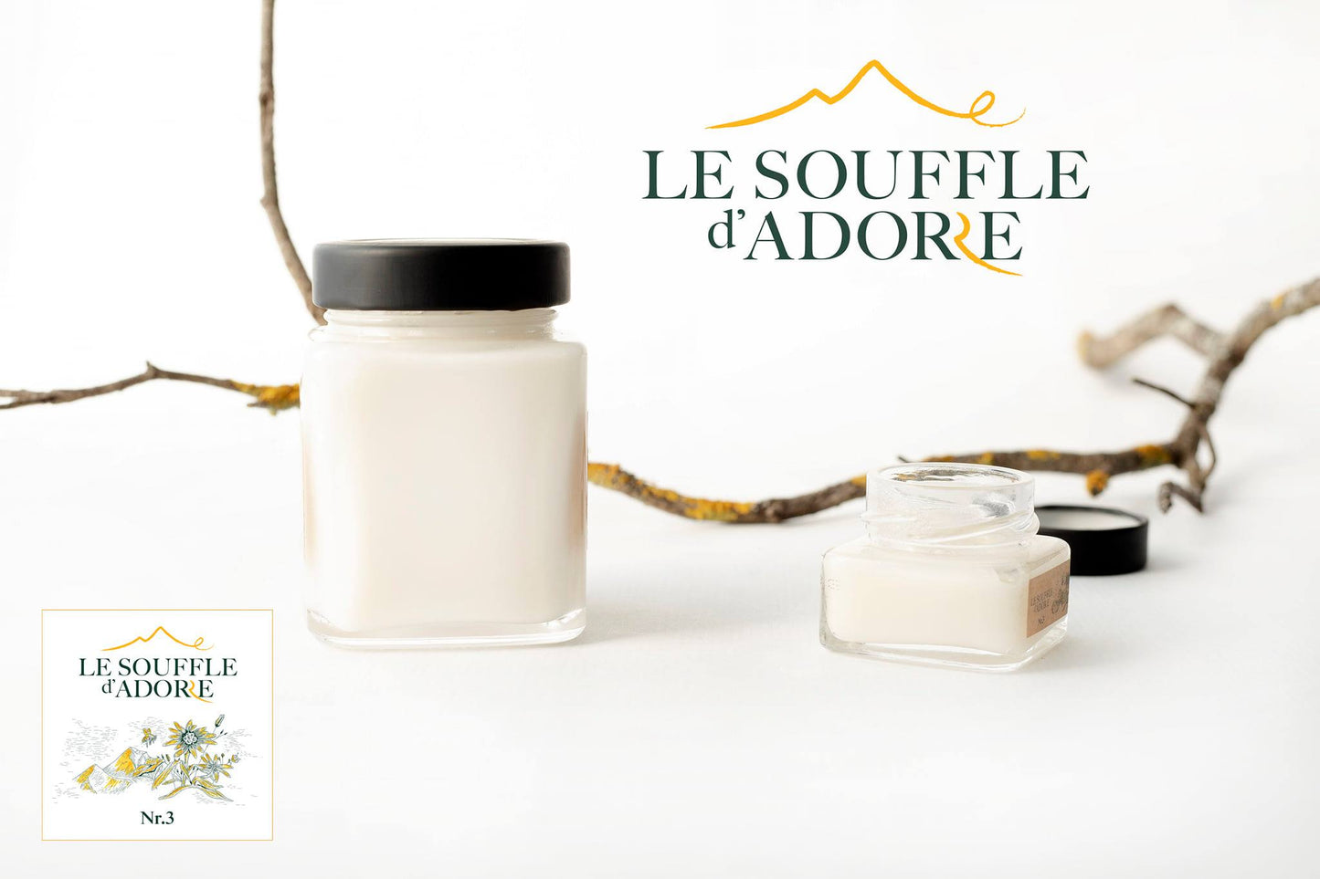 MIEL DE SAINFOIN N° 3